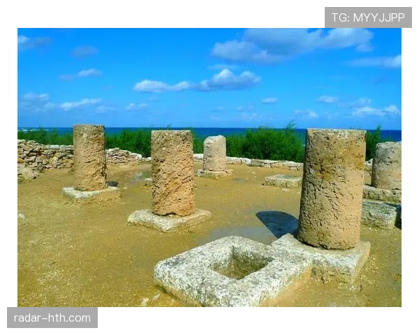 突尼斯迦太基之鹰展翅：古城魅力重焕，旅游业稳步迈向新机遇